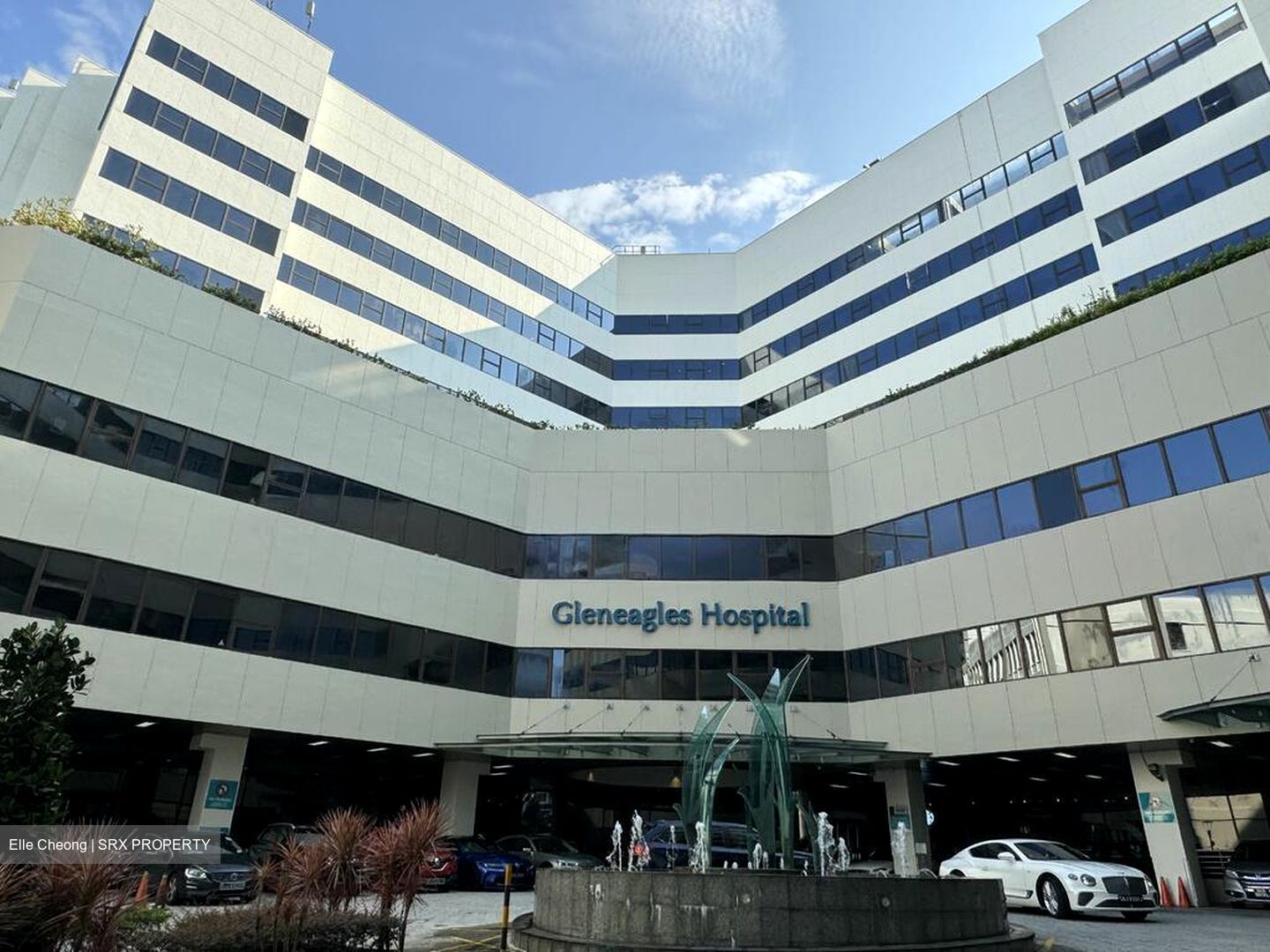 Gleneagles Hospital (D10), Retail #517598251